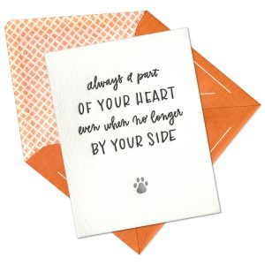 Pet Sympathy Letterpress Greeting Card with Envelope